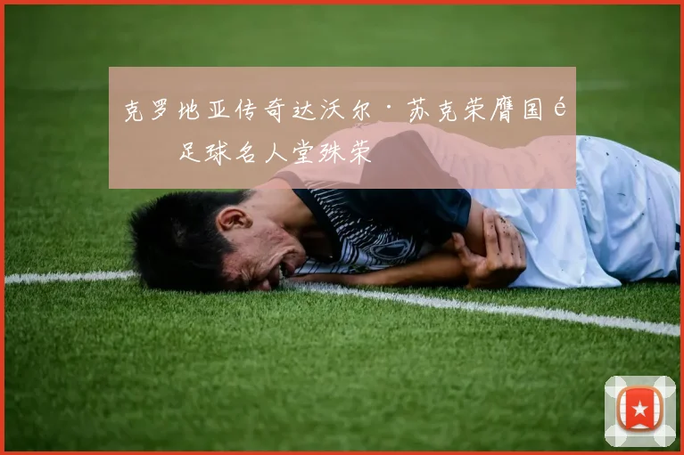 克罗地亚传奇达沃尔·苏克荣膺国际足球名人堂殊荣