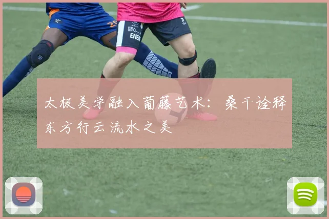 太极美学融入葡藤艺术：桑干诠释东方行云流水之美